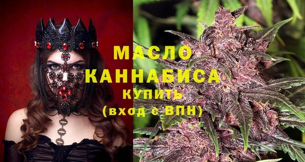 ECSTASY Алзамай