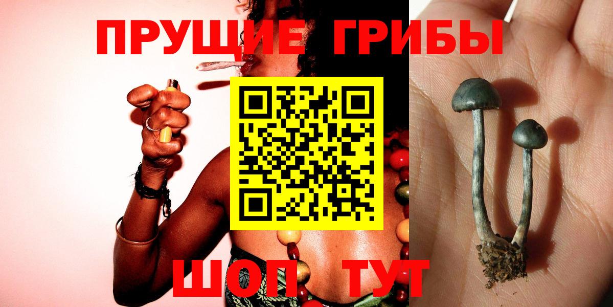 Псилоцибиновые грибы Набережные Челны