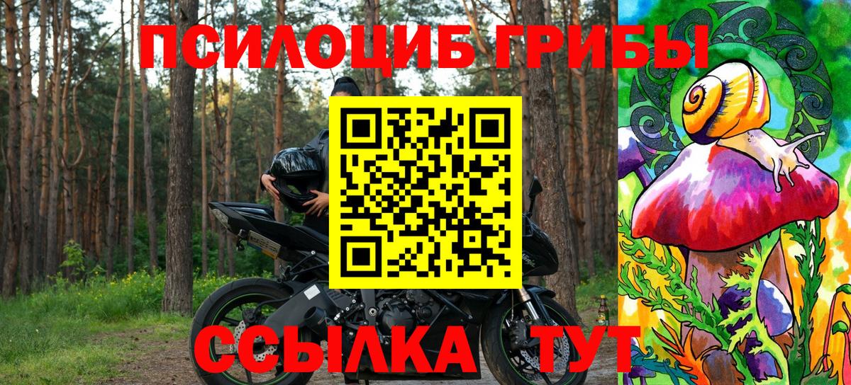 Набережные Челны  закладки  Вход с VPN  Псилоцибиновые грибы прущие грибы 